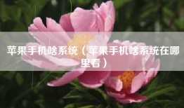 苹果手机啥系统（苹果手机啥系统在哪里看）