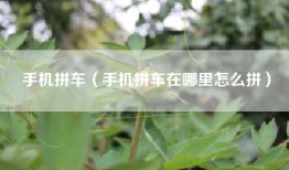 手机拼车（手机拼车在哪里怎么拼）