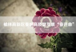 榆林高新区奏响高质量发展“奋进曲”