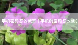 手机密码怎么破开（手机的密码怎么破）