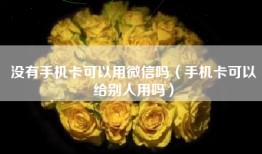 没有手机卡可以用微信吗（手机卡可以给别人用吗）