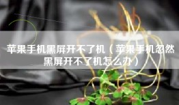 苹果手机黑屏开不了机（苹果手机忽然黑屏开不了机怎么办）