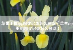 苹果手机app购买记录怎么删除（苹果app里的购买记录怎么删除）