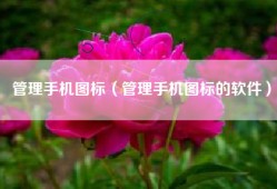 管理手机图标（管理手机图标的软件）