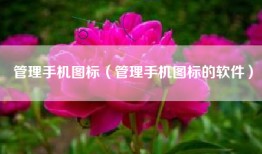 管理手机图标（管理手机图标的软件）