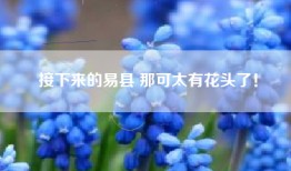 接下来的易县 那可太有花头了！