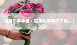 百度助手手机（百度助手手机下载ios）