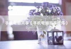 手机电脑共享（手机电脑共享软件）