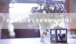 手机电脑共享（手机电脑共享软件）