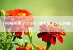 手机拍照糊了（手机拍照糊了怎么回事）