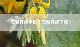 恋爱养成手机（恋爱养成下载）