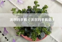 沃尔玛手机（沃尔玛手机店）
