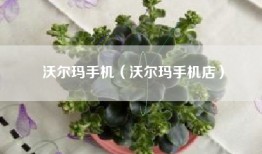 沃尔玛手机（沃尔玛手机店）