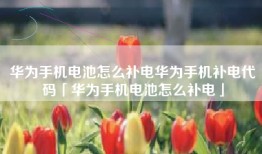 华为手机电池怎么补电华为手机补电代码「华为手机电池怎么补电」