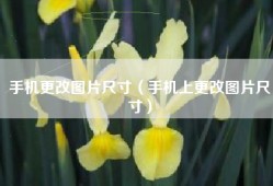 手机更改图片尺寸（手机上更改图片尺寸）