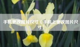 手机更改图片尺寸（手机上更改图片尺寸）