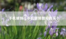 手机破屏（手机破屏图片真实）