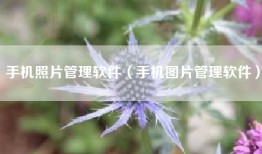 手机照片管理软件（手机图片管理软件）