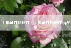 手机证件照软件（手机证件照软件app免费）
