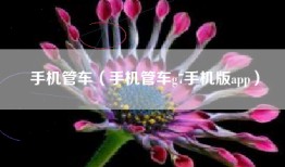 手机管车（手机管车g7手机版app）