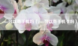 ems可以寄手机吗（ems可以寄手机卡吗）