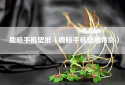 鹿晗手机壁纸（鹿晗手机壁纸背影）