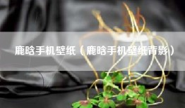 鹿晗手机壁纸（鹿晗手机壁纸背影）