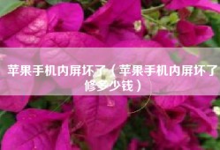 苹果手机内屏坏了（苹果手机内屏坏了修多少钱）