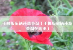 手机版车辆违章查询（手机版车辆违章查询在哪里）