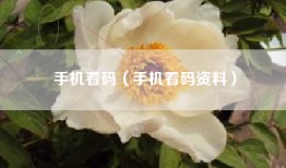 手机看码（手机看码资料）