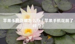 苹果手机花屏怎么办（苹果手机花屏了咋办）