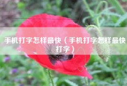 手机打字怎样最快（手机打字怎样最快打字）