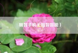 明智手机（明智智能）
