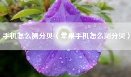 手机怎么测分贝（苹果手机怎么测分贝）
