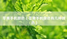 苹果手机颜色（苹果手机颜色有几种颜色）