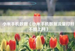 小米手机数据（小米手机数据流量打开不能上网）