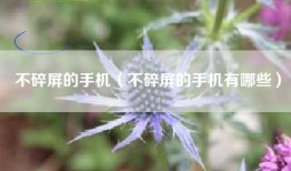 不碎屏的手机（不碎屏的手机有哪些）