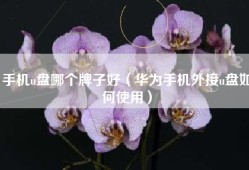 手机u盘哪个牌子好（华为手机外接u盘如何使用）