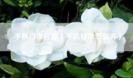 手机目录在哪（手机目录怎么弄）