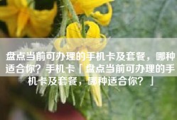 盘点当前可办理的手机卡及套餐，哪种适合你？手机卡「盘点当前可办理的手机卡及套餐，哪种适合你？」