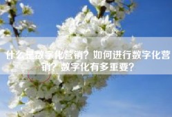 什么是数字化营销？如何进行数字化营销？数字化有多重要？
