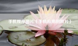 手机程序图片（手机应用的图片）