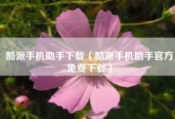 酷派手机助手下载（酷派手机助手官方免费下载）