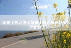 苹果手机评估（苹果手机评估信息多久才能好）