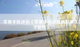 苹果手机评估（苹果手机评估信息多久才能好）