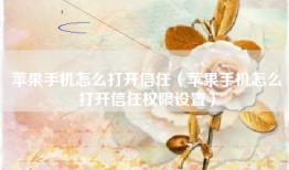 苹果手机怎么打开信任（苹果手机怎么打开信任权限设置）