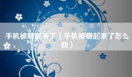 手机被藏起来了（手机被藏起来了怎么找）