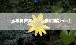 一加手机新款（一加手机新款2024）