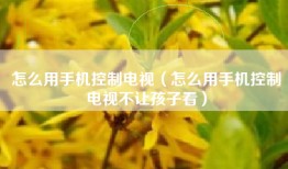 怎么用手机控制电视（怎么用手机控制电视不让孩子看）