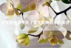 学生党推荐手机（学生党推荐手机排行）